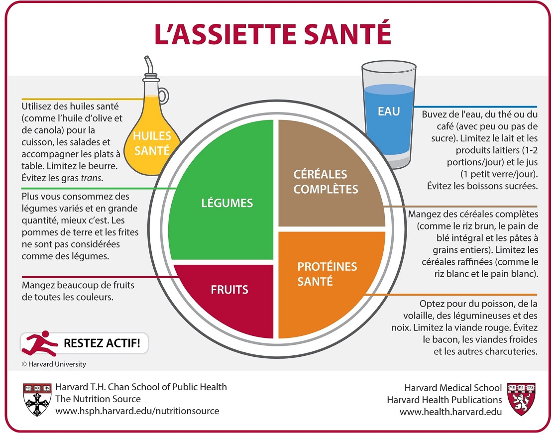 assiette sante