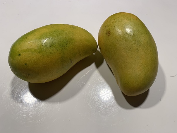 mangue