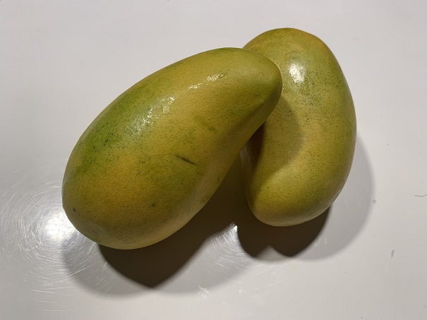 manguecoller